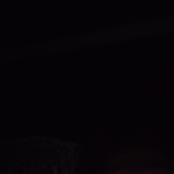 Meet your Posher, Peter - Picture 1 of 1